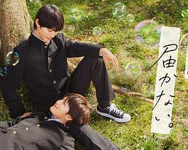 金牌谜语之新澳门网站